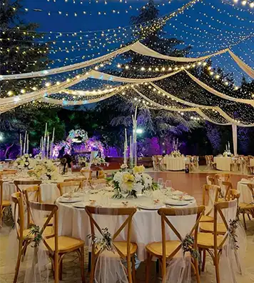 Photographer capturing joyful moments at a lively party and personal event